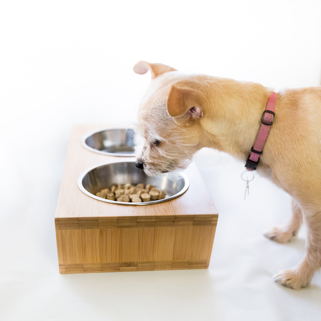 Adjustable Height Pet Feeder, 12, 14 or 16 inches tall – Pawfect Pets